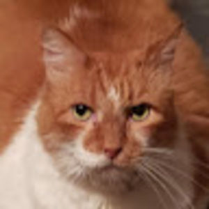 Meet your Posher, John